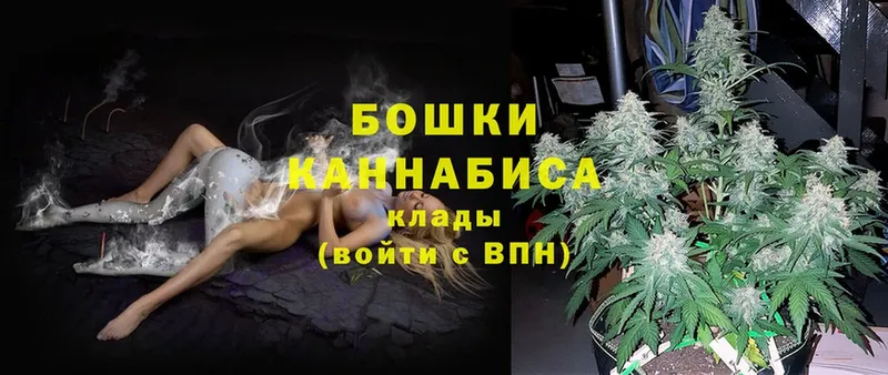 наркотики  Гусев  Бошки Шишки Ganja 